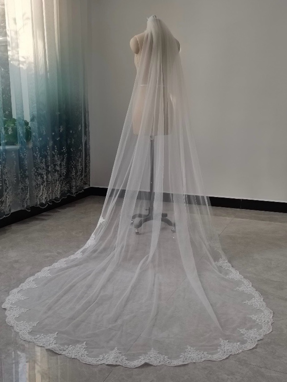 Cathedral length veil with lace trim